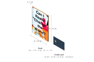 Can I Really Change the World?
