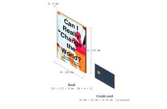 Can I Really Change the World?