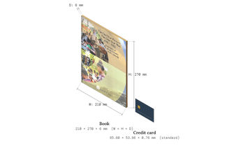 Five Year Plan and the One Year Plan, 2016–2022