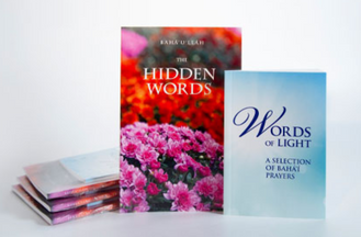 Hidden Words and Words of Light Gift Set